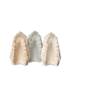 shera_polan_516010_LR 555