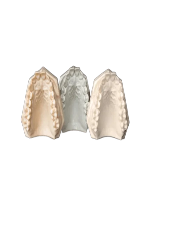 shera_polan_516010_LR 555 shera_polan_516010_LR 555